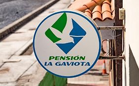 Pension La Gaviota